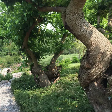 Casal Del Pigno Peschiera del Garda